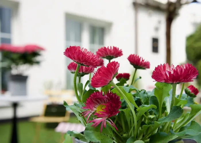 Les Jardins 4*